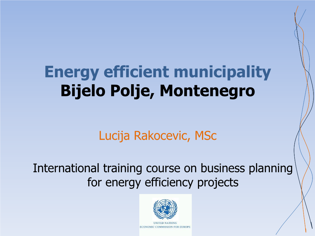 Energy Efficient Municipality Bijelo Polje, Montenegro