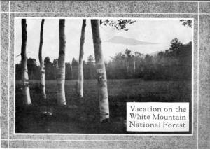 Vacation on the White Mountain National Forest