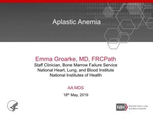 AAMDSIF Aplastic Anemia Presentation