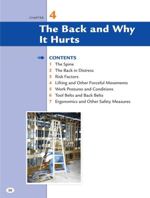 The Back and Why It Hurts