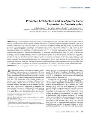 Promoter Architecture and Sex-Specific Gene Expression In