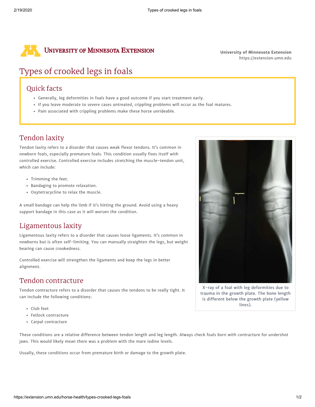 Types of Crooked Legs in Foals Article