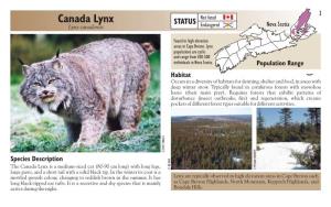 Canada Lynx Not Listed STATUS Endangered Nova Scotia Lynx Canadensis
