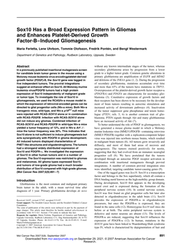 Sox10 Has a Broad Expression Pattern in Gliomas and Enhances Platelet-Derived Growth Factor-B–Induced Gliomagenesis