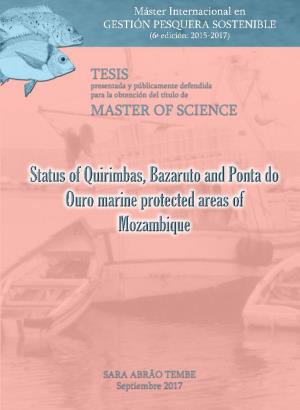 Status of Quirimbas, Bazaruto and Ponta Do Ouro Marine Protected Areas of Mozambique