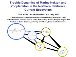 Trophic Dynamics of Marine Nekton and Zooplankton in the Northern California Current Ecosystem