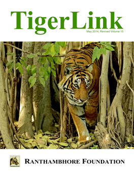 TIGERLINK from the Director's Desk