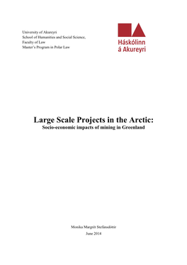 Large Scale Projects in the Arctic: Socio-Economic Impacts of Mining in Greenland