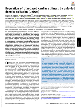 Regulation of Titin-Based Cardiac Stiffness by Unfolded Domain Oxidation (Undox)