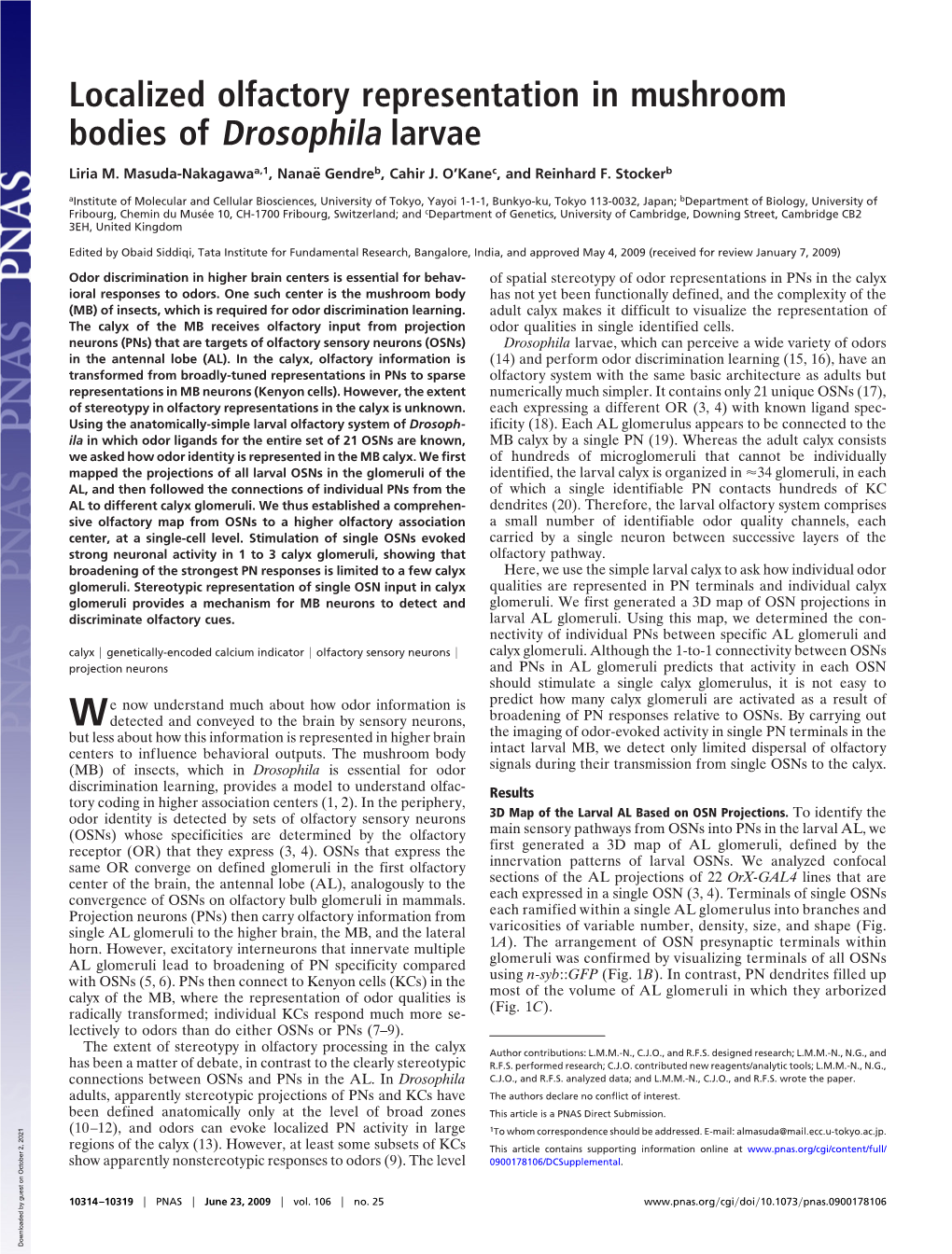 Localized Olfactory Representation in Mushroom Bodies of Drosophila Larvae