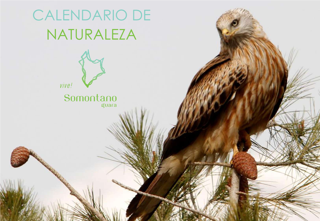 Calendario De Naturaleza Calendario Naturaleza – Índice