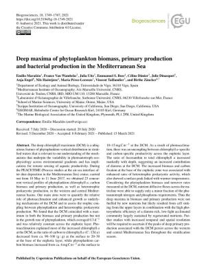 Deep Maxima of Phytoplankton Biomass, Primary Production and Bacterial Production in the Mediterranean Sea