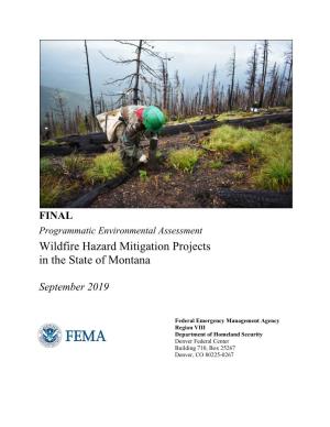 FINAL Programmatic Environmental Assessment Wildfire Hazard Mitigation Projects in the State of Montana