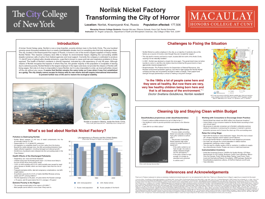 What's So Bad About Norilsk Nickel Factory?