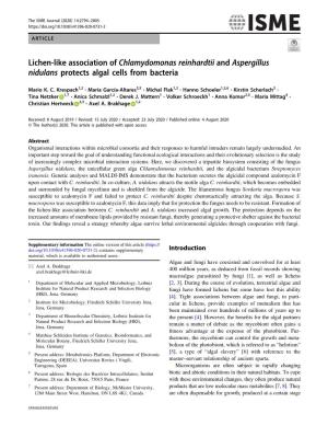 Lichen-Like Association of Chlamydomonas Reinhardtii and Aspergillus Nidulans Protects Algal Cells from Bacteria