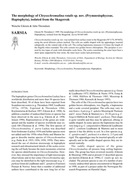 The Morphology of Chrysochromulina Rotalis Sp. Nov. (Prymnesiophyceae, Haptophyta), Isolated from the Skagerrak