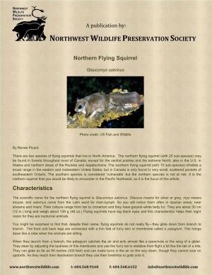 Northwestwildlife.Com Species Reports
