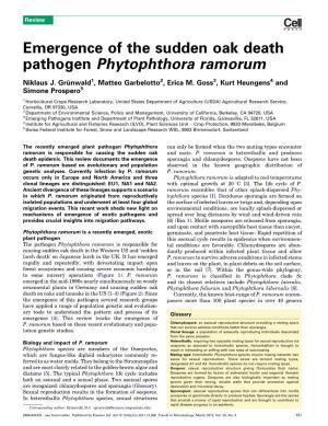 Emergence of the Sudden Oak Death Pathogen Phytophthora Ramorum