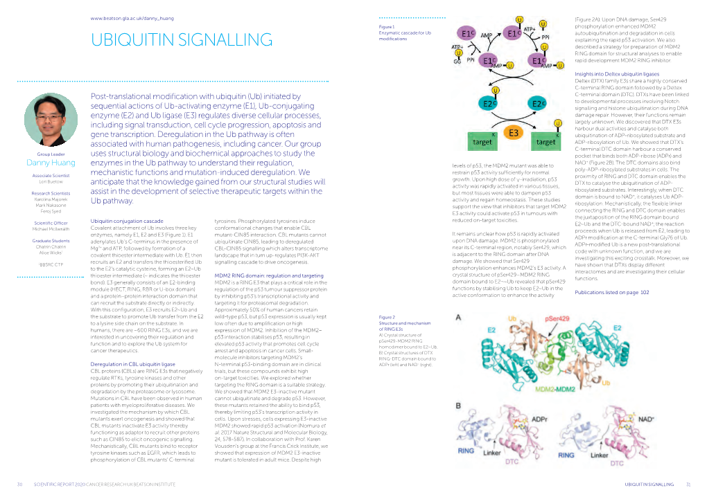 Huang Lab Report