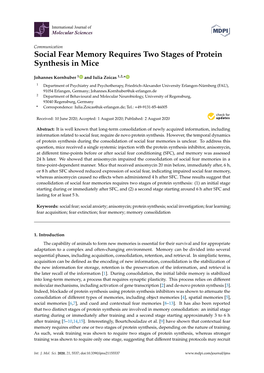 Social Fear Memory Requires Two Stages of Protein Synthesis in Mice