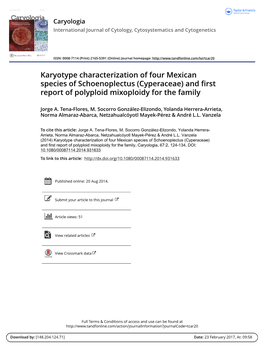 Karyotype Characterization of Four Mexican Species of Schoenoplectus (Cyperaceae) and First Report of Polyploid Mixoploidy for the Family