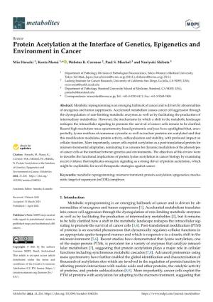 Protein Acetylation at the Interface of Genetics, Epigenetics and Environment in Cancer