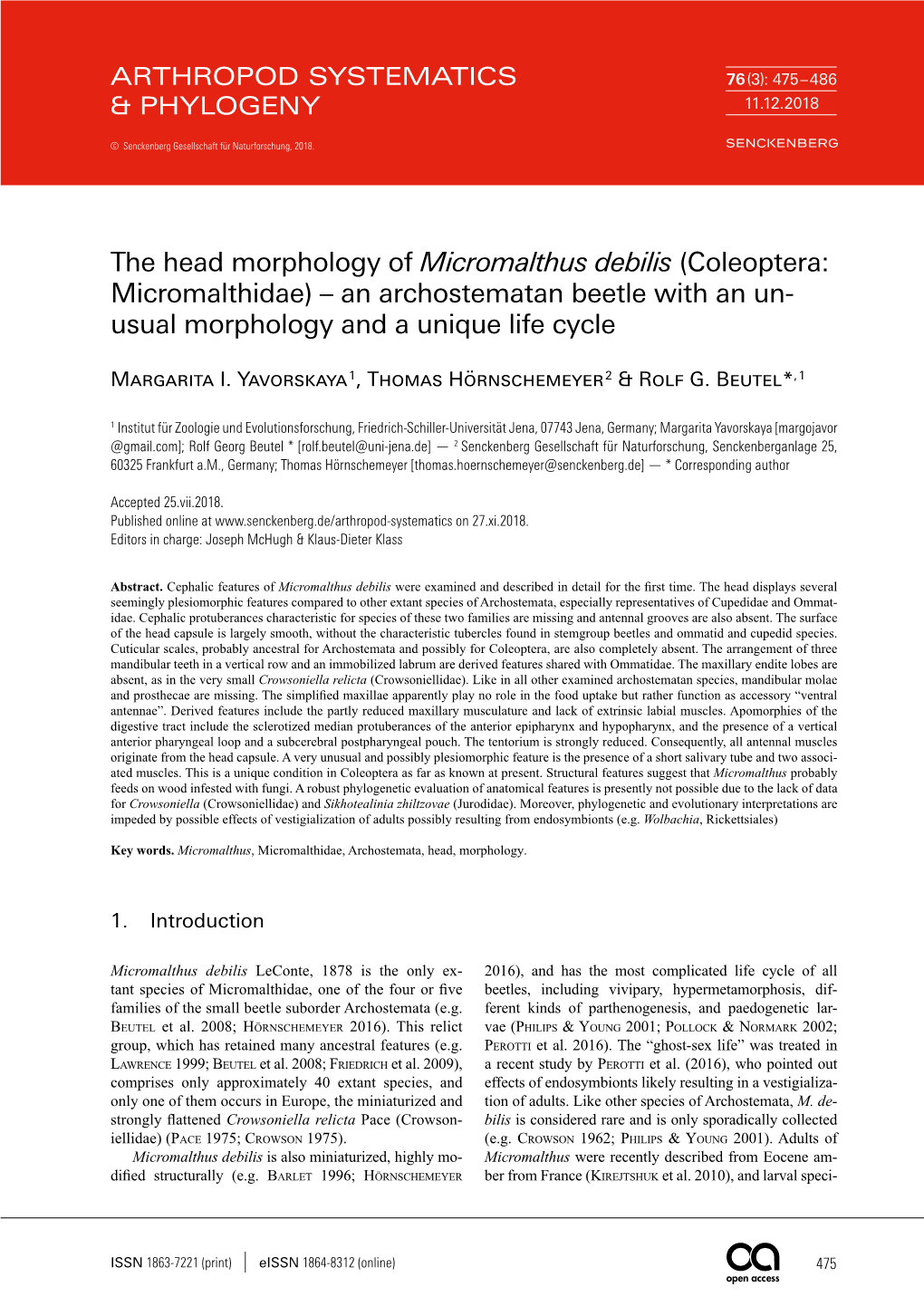 The Head Morphology of Micromalthus Debilis (Coleoptera: Micromalthidae) – an Archostematan Beetle with an Un­ Usual Morphology and a Unique Life Cycle