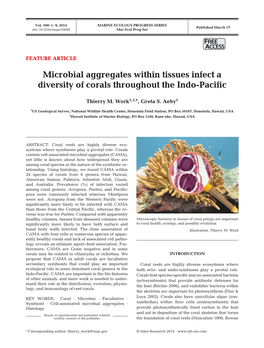 Microbial Aggregates Within Tissues Infect a Diversity of Corals Throughout the Indo-Pacific