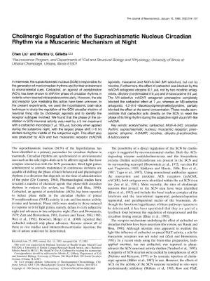 Cholinergic Regulation of the Suprachiasmatic Nucleus Circadian Rhythm Via a Muscarinic Mechanism at Night