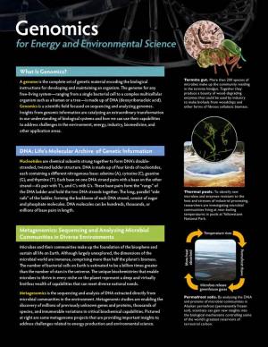 Genomics and Energy and Environmental Science Poster 2011