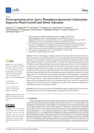 Overexpression of an Agave Phosphoenolpyruvate Carboxylase Improves Plant Growth and Stress Tolerance