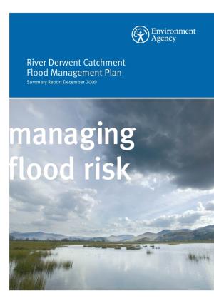 River Derwent Catchment Flood Management Plan Summary Report December 2009 Managing Flood Risk We Are the Environment Agency