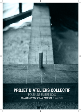 Projet D'ateliers Collectif