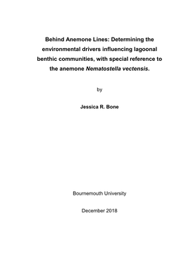 Behind Anemone Lines: Determining the Environmental Drivers Influencing Lagoonal Benthic Communities, with Special Reference to the Anemone Nematostella Vectensis
