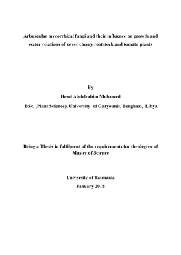 Arbuscular Mycorrhizal Fungi and Their Influence on Growth and Water Relations of Sweet Cherry Rootstock and Tomato Plants