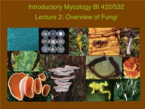 Introductory Mycology BI 432/532 Lecture 2: Overview of Fungi 
