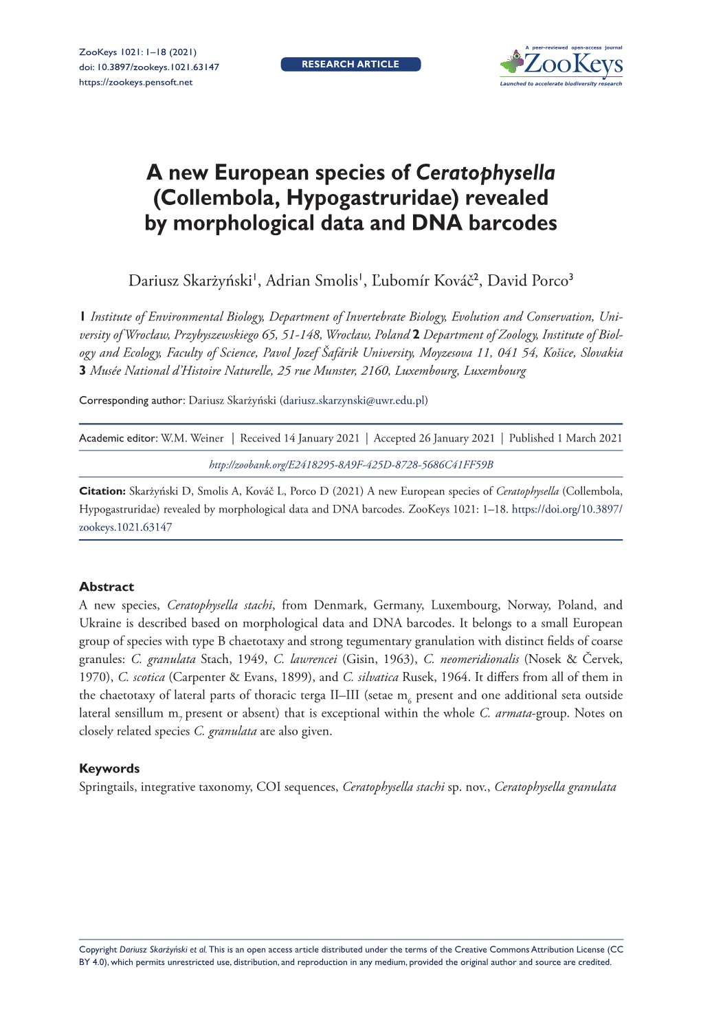 A New European Species of Ceratophysella (Collembola, Hypogastruridae) Revealed by Morphological Data and DNA Barcodes