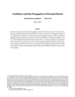 Confidence and the Propagation of Demand Shocks∗