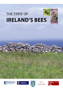The State of Ireland's Bees