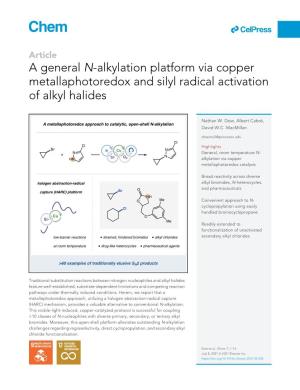 A General N-Alkylation Platform Via Copper Metallaphotoredox and Silyl Radical Activation of Alkyl Halides
