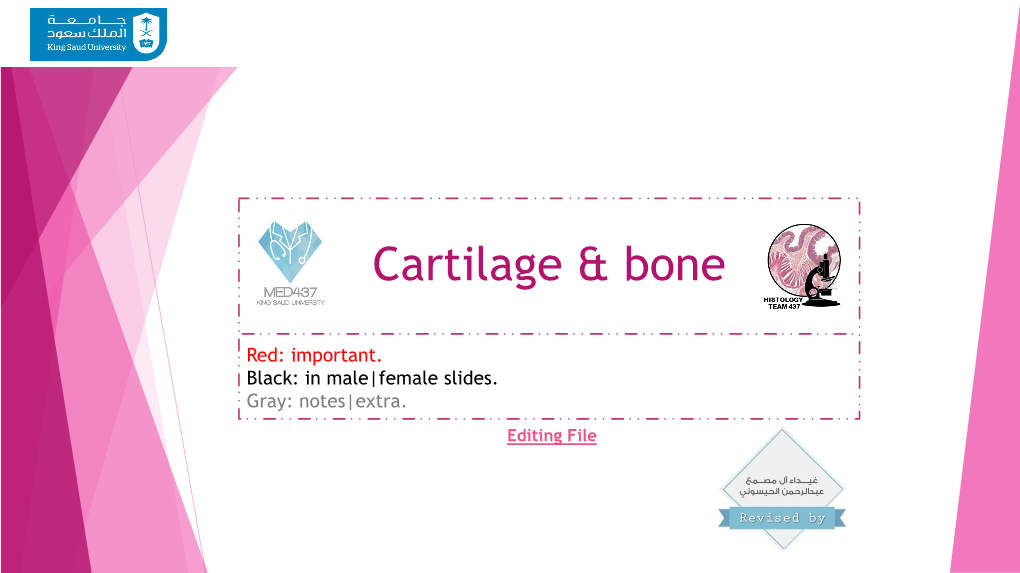 Cartilage & Bone