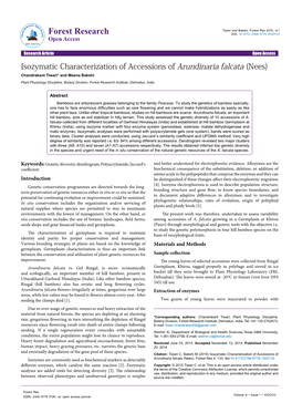 Isozymatic Characterization of Accessions of Arundinaria Falcata