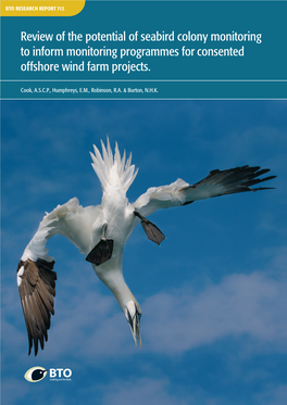 Review of the Potential of Seabird Colony Monitoring to Inform Monitoring Programmes for Consented Offshore Wind Farm Projects