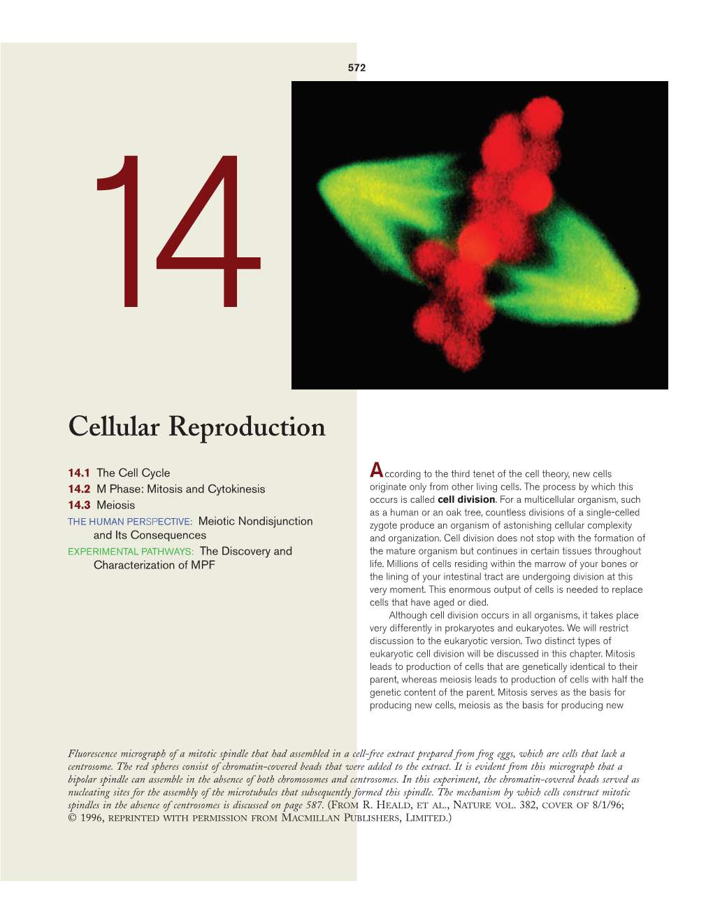 Cellular Reproduction