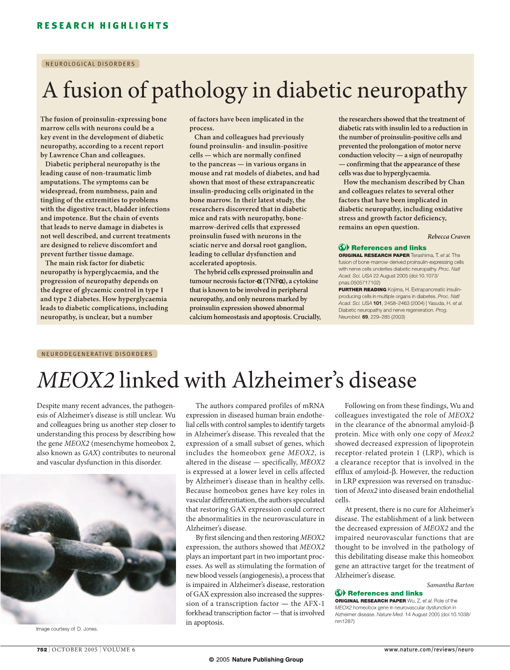A Fusion of Pathology in Diabetic Neuropathy MEOX2 Linked With