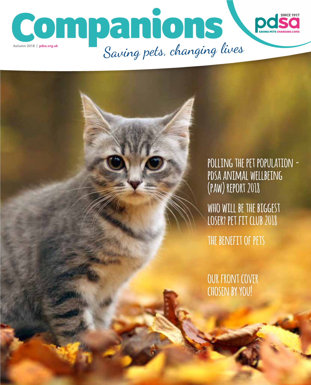 PDSA Companions Autumn