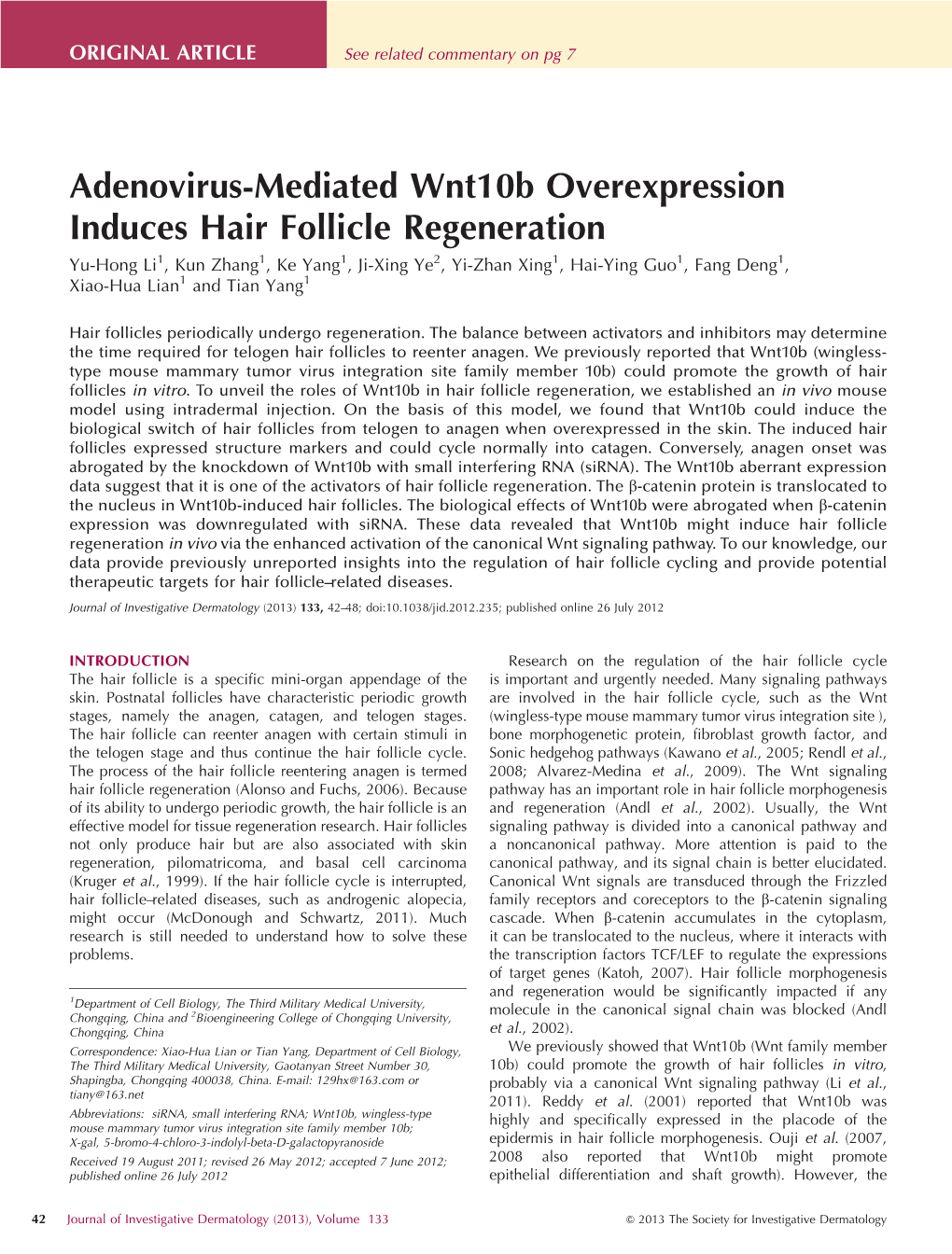 Adenovirus-Mediated Wnt10b Overexpression Induces Hair