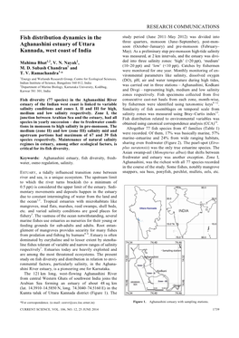 Fish Distribution Dynamics in the Aghanashini Estuary of Uttara