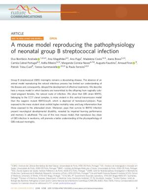 A Mouse Model Reproducing the Pathophysiology of Neonatal Group B Streptococcal Infection