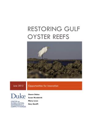 Restoring Gulf Oyster Reefs: Opportunities for Innovation